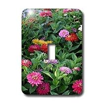 Flowers - Zinnias - Light Switch Covers - single toggle switch