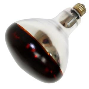 Trojan 64409 - 250R40/10/HL/STC Light Bulb