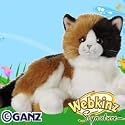 Webkinz Signature Calico Cat Plush Animal
