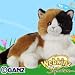 Webkinz Signature Calico Cat Plush Animal