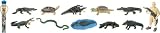 31iE79lyHfL. SL160  Safari LTD Alligators Alive Toob