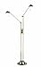 Lite Source LS-8637AB Rhine Halogen Double Arm Floor Lamp, Antique Brass