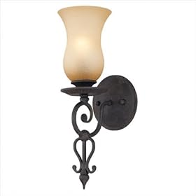Portobello Bath Wall Sconce in French Iron by Troy