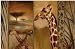 Kitchen & Housewares : Safari Giraffe Comfort Mat