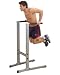 Body Solid Dip Station