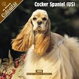 2008 Cocker Spaniel (US) 2008 16 Month Wall Calendar **IN STOCK NOW**