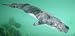 Sperm Whale 24″ Puppet Plush Stuffed Animal Toy