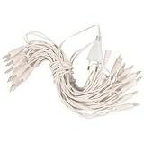 Eigenschaften Knorr Prandell  / Knorr Prandell - Lichterkette, weiß, Länge ca. 2 m, 10 Lichter