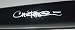 Carlos Pena Autographed Tampa Rays Professional Bat