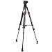 Sachtler System DV 1 SL MCF Tripod Kit with DV 1 Fluid Head, Speed Lock 75 CF Tripod, Mid-level Spreader 75 & DV Bag S, Maximum Load 4.4 lbs.