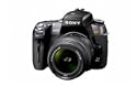 Sony DSLRA550L