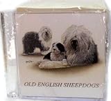Old English Sheepdog Family Stationery Cube by Artist Robert May
