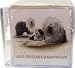   - Old English Sheepdog Family Stationery Cube by Artist Robert May