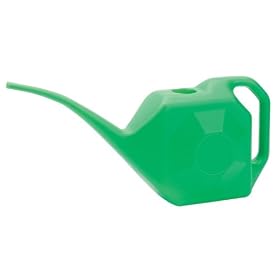 Draper 43888 2 LITRE PLASTIC WATERING CAN