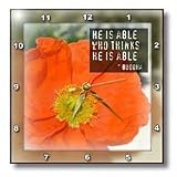 Framed Buddha He is Able Poppy Flower Inspirational Quotes - 10x10 Wall Clock
