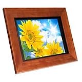 Aluratek 11-Inch Hi-Res Digital Photo Frame (1 GB SD Card Included)