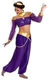 Disney Jasmine from Aladdin Deluxe Adult Costume