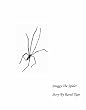 Snaggy the Spider