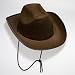 Brown Felt Cowboy Hat