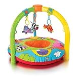 Jungle Playnest and Gym