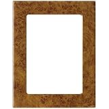 Burl RANDALL VENEER frame by Burnes of Boston - 8x10 ~ Burnes of Boston