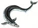 Painting Depicting a Prehistoric Whale with Tiny Hind Limbs and Feet Photographic Pos...