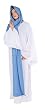 Mary Adult Costume