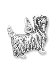 Yorkshire Terrier Charm