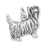 Dog Breed - Yorkshire Terrier Charm