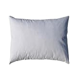16'' x 20'' Feather/Down Pillow Form White By The Each