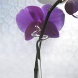 Eigenschaften Lauschaer Glaskunst  / Blumenstäbe/Orchideenstäbe klar