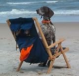 Backpack Chair - Navy Blue