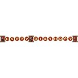 Kung Fu Panda Banner, 8ft