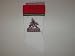 PHOENIX COYOTES 14" Team Logo CHRISTMAS STOCKING