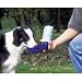 Kitchen & Housewares : Porta LeBistro Waterer - 18 oz.