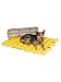 Kakadu Pet Adventure Mat Dog Bed, 37 1/2-Inch by 31 1/2-Inch Medium, Smoke and Zest