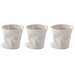 Kitchen & Housewares : Crumpled Espresso Cups Set of 3
