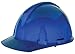 MSA (Mine Safety Appliances Co)