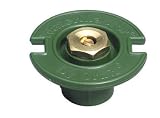 Plastic Flush Head With Brass Nozzle (54026)