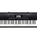Casio CTK-3000 61 Key Digital Keyboard