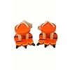 Tiger Footwalkers BIGJIGS BJ869