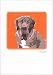 Grrreen Mastiff Note Cards