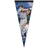 Tampa Bay Rays Official Logo Premium Player Pennant
