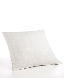 Pacific Coast Feather Down European Square Pillow 26x26