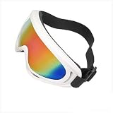 White Plastic Frame Skiing Snowboard Goggle Racing Ski Glasses