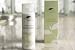 White Tea by Westin™ Aloe Body Lotion
