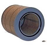 Wix 42976 Air Filter, Pack of 1 by Wix
