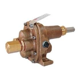 Dayton 4KHJ2 Rotary Gear Pump Head, 3/4 In., 1 HP: Industrial &amp; Scientific