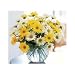 Dashing Daisies Gift Basket