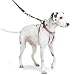 Sporn Large Training Halter for Dogs (Neck sizes 16''-24'')